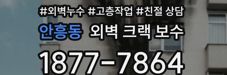 안흥동 외벽 크랙 보수