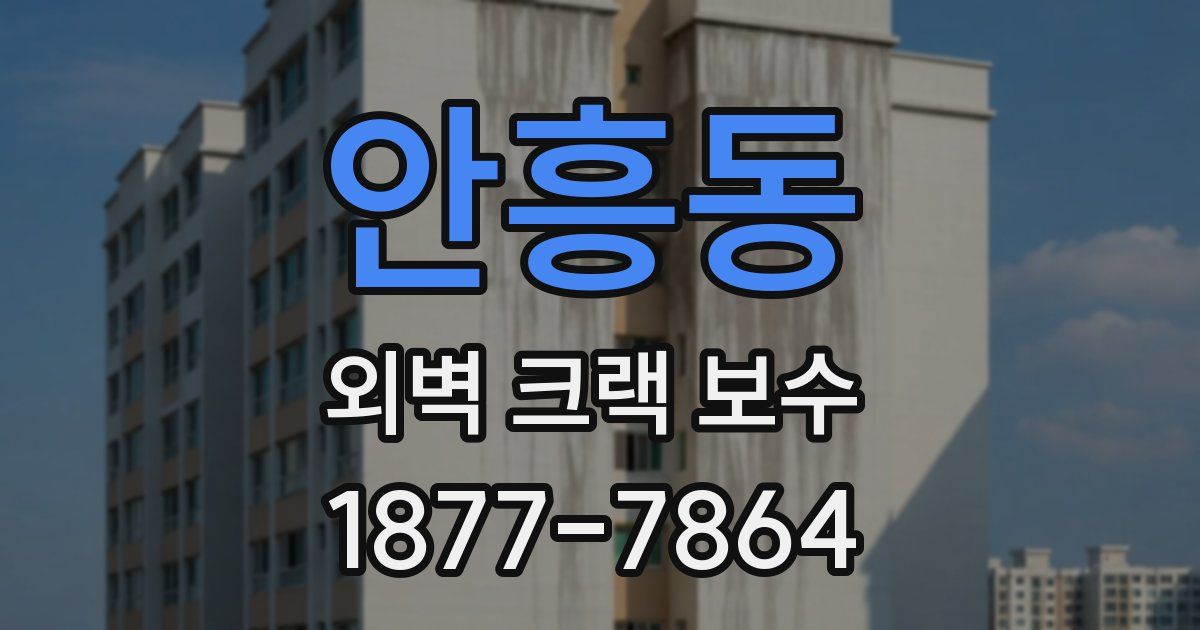 안흥동 외벽 크랙 보수