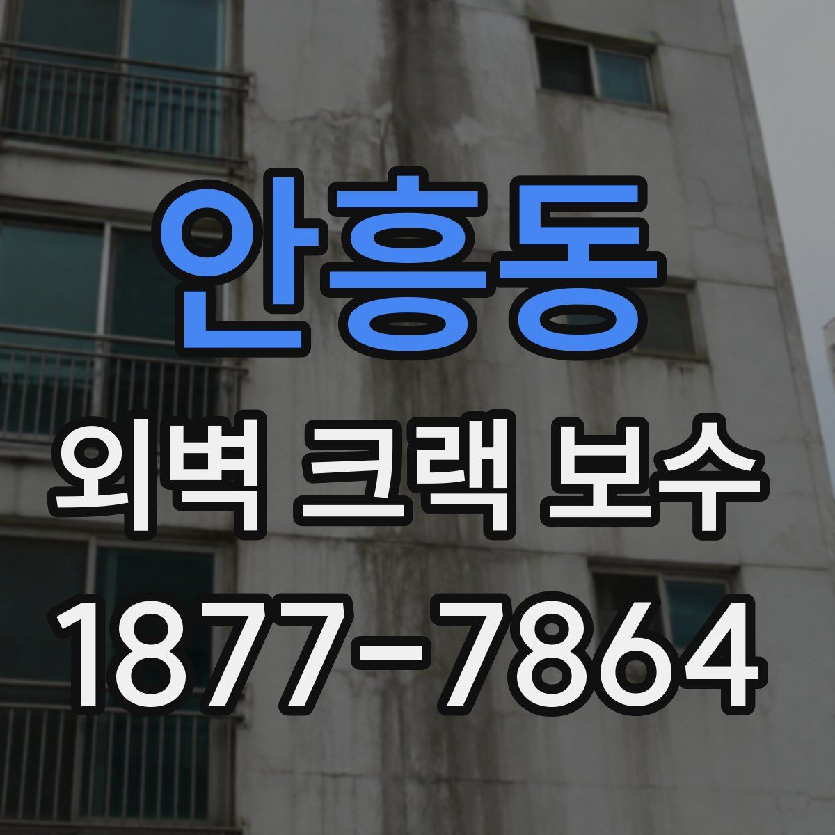 안흥동 외벽 크랙 보수