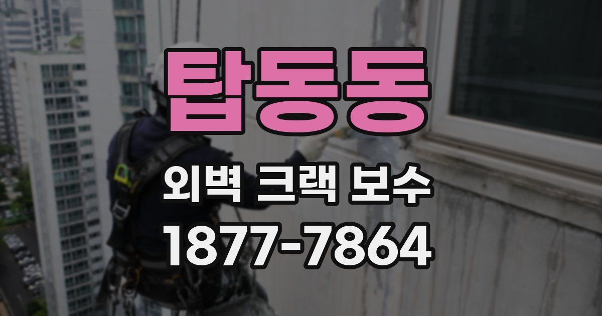 탑동동 외벽 크랙 보수