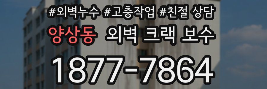 양상동 외벽 크랙 보수