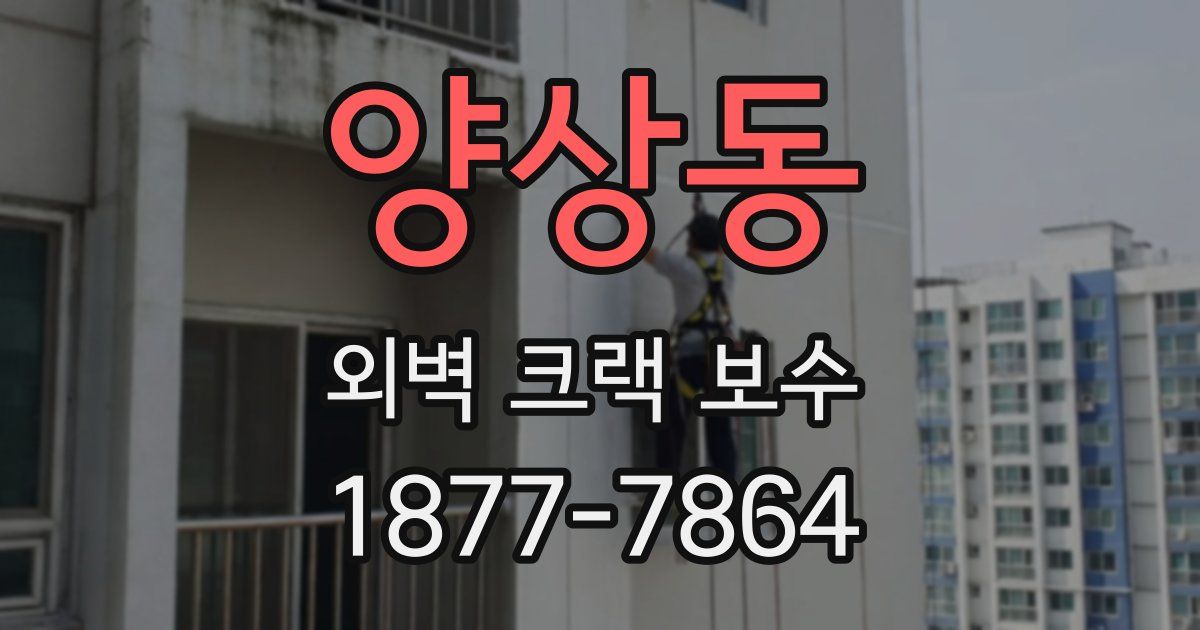 양상동 외벽 크랙 보수