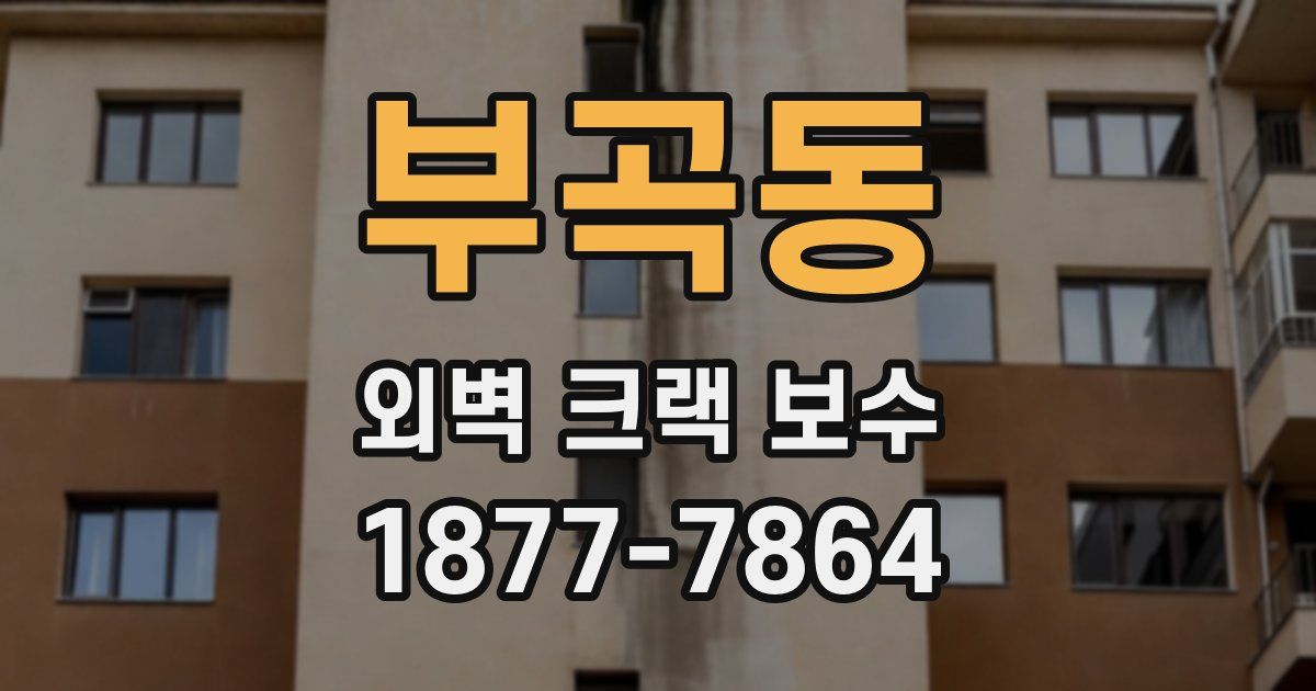 부곡동 외벽 크랙 보수
