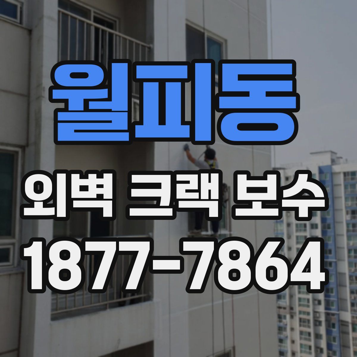 월피동 외벽 크랙 보수