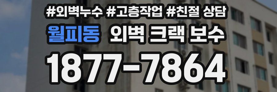 월피동 외벽 크랙 보수