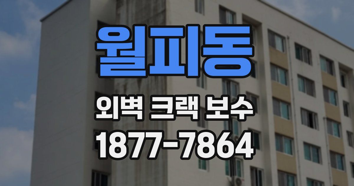 월피동 외벽 크랙 보수