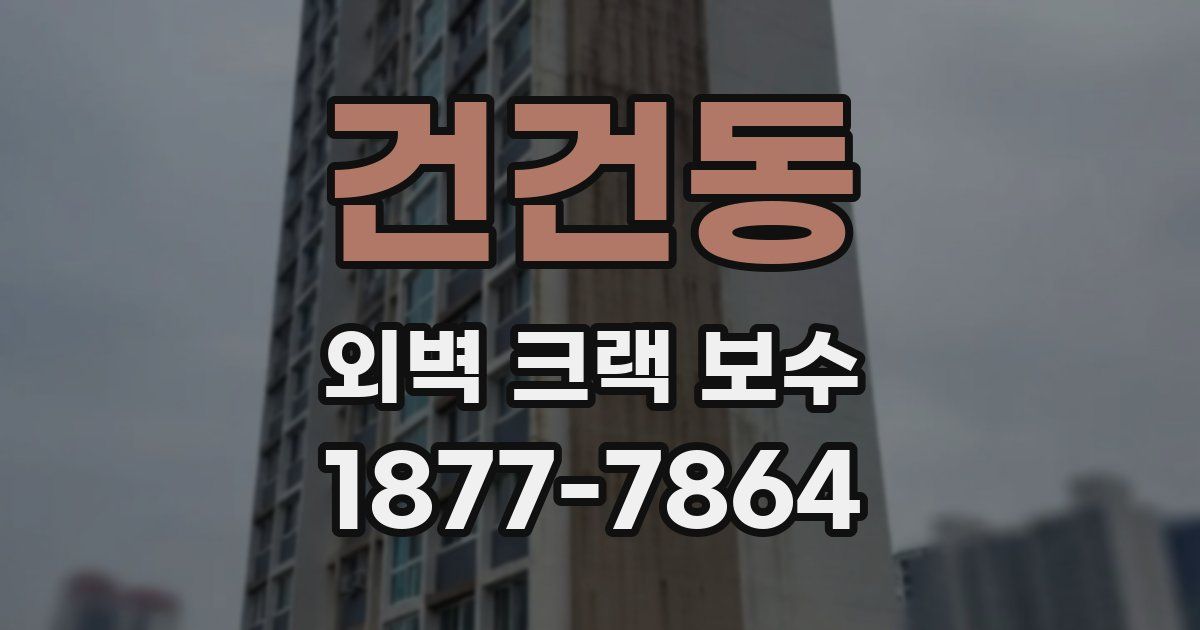 건건동 외벽 크랙 보수