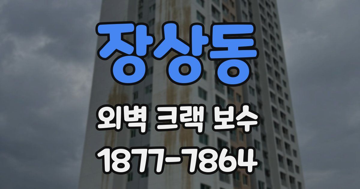 장상동 외벽 크랙 보수