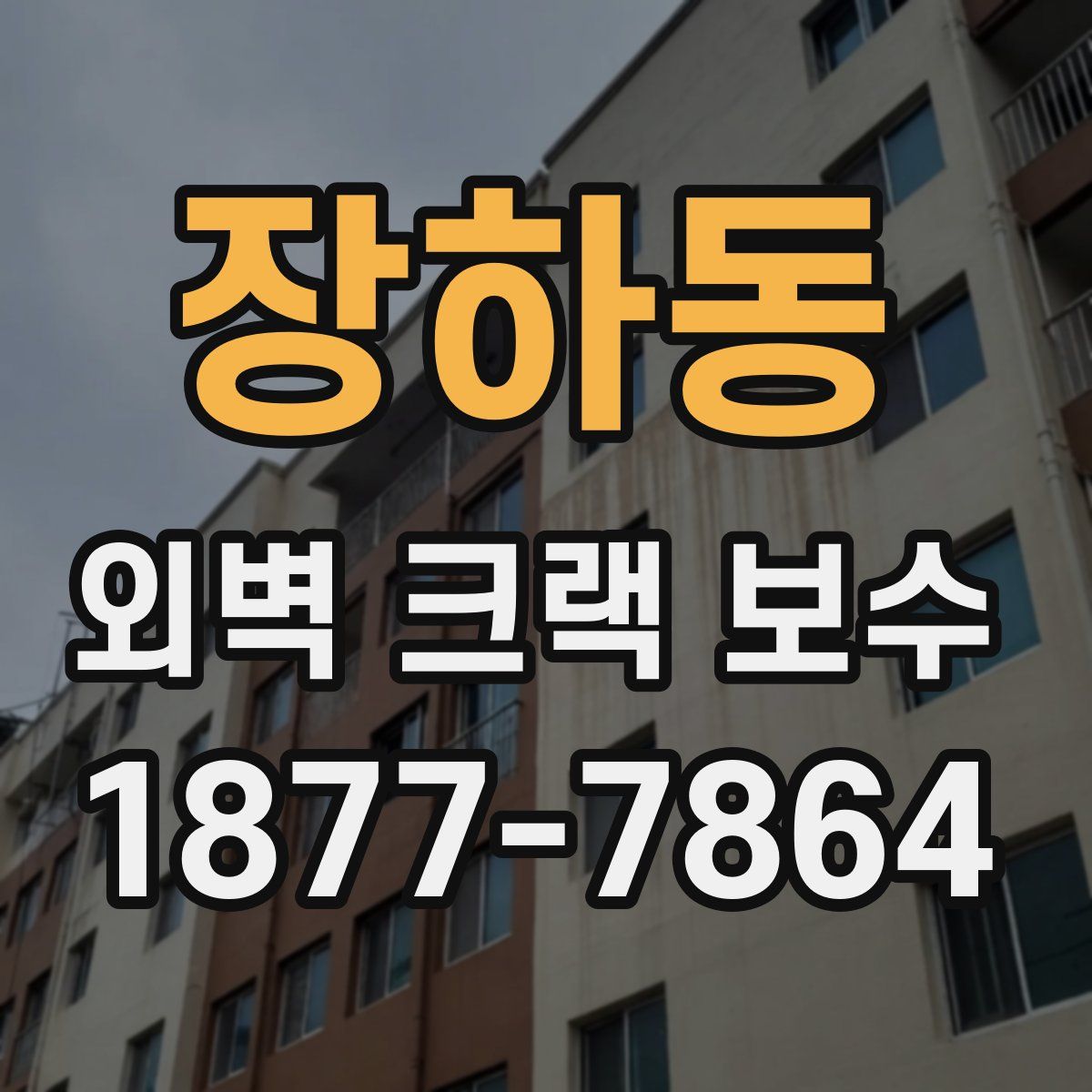 장하동 외벽 크랙 보수