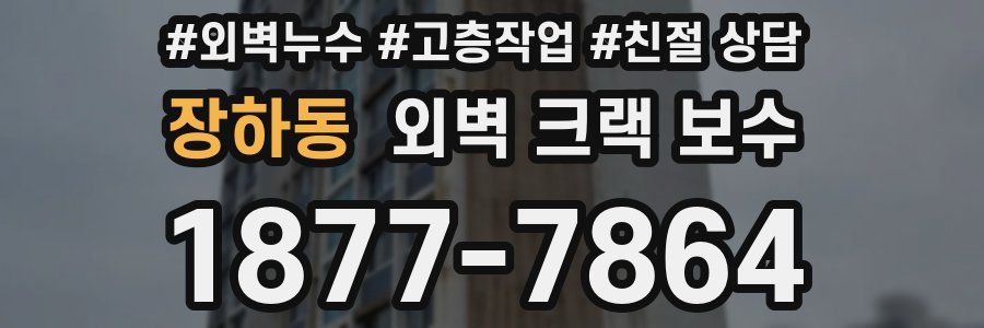 장하동 외벽 크랙 보수