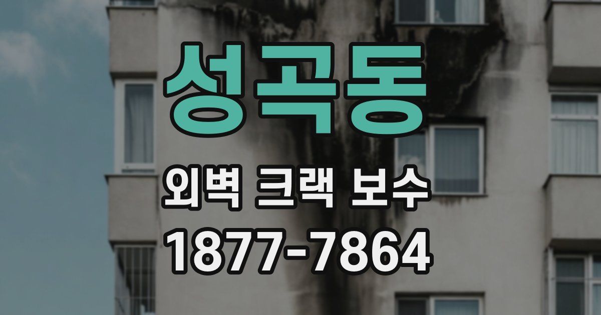 성곡동 외벽 크랙 보수