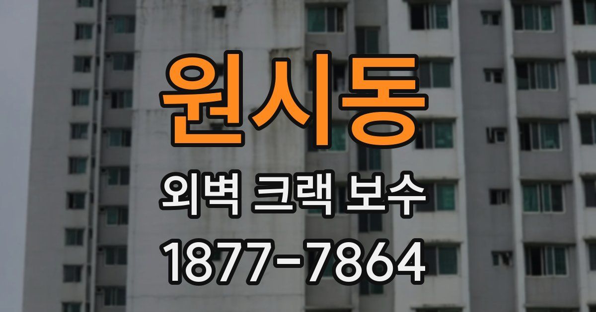 원시동 외벽 크랙 보수