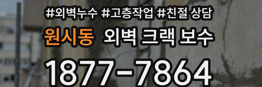 원시동 외벽 크랙 보수