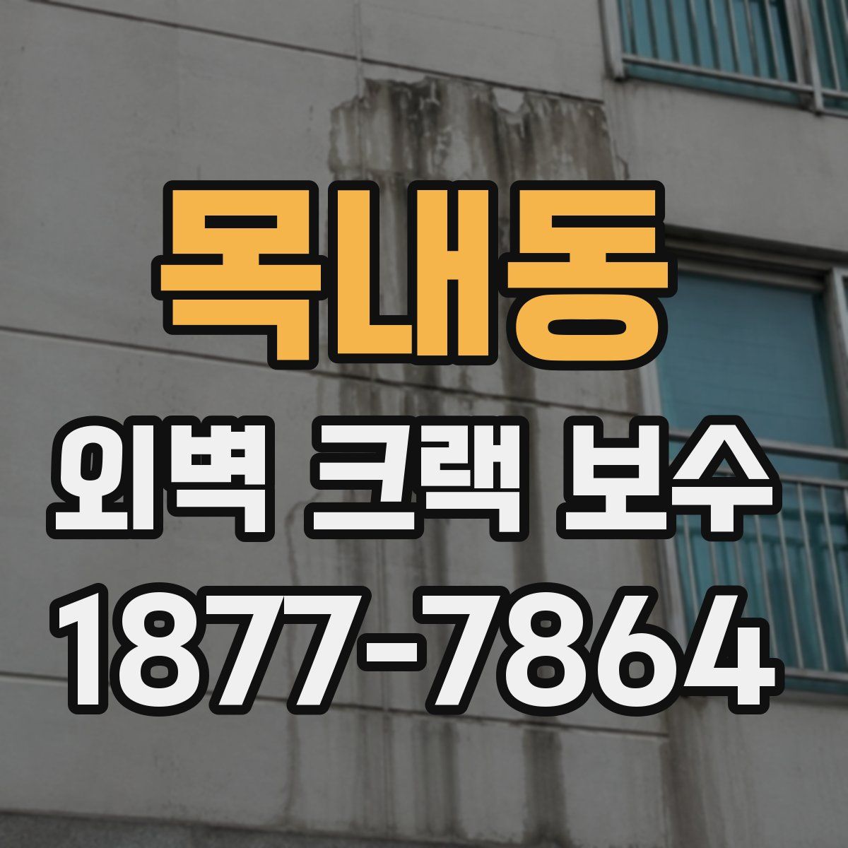 목내동 외벽 크랙 보수