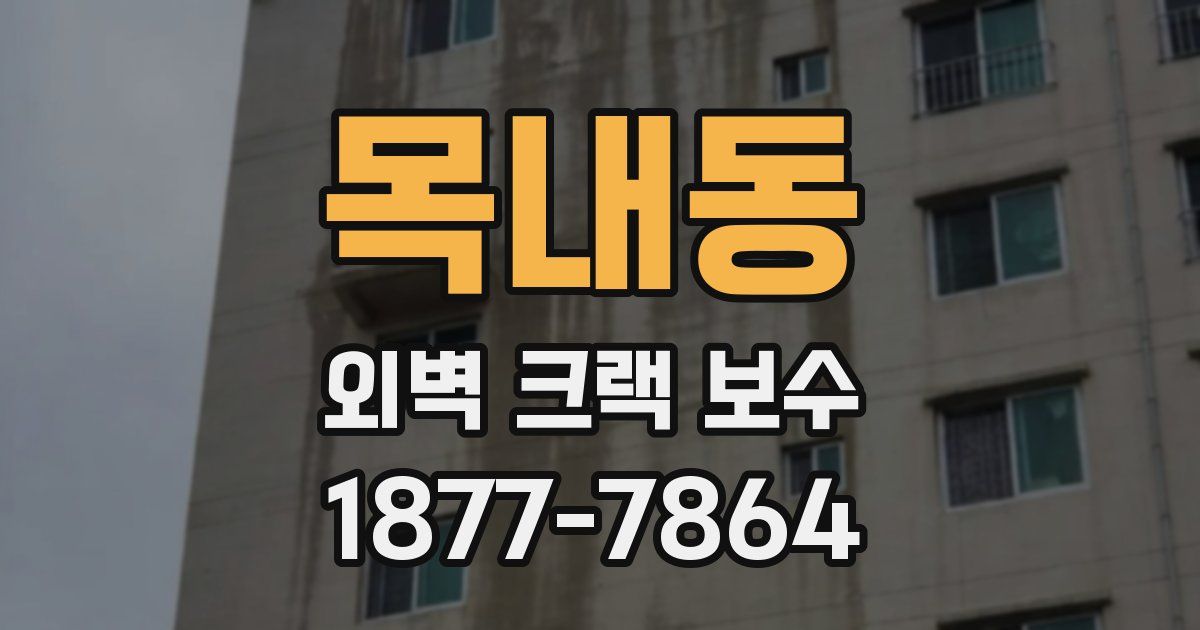 목내동 외벽 크랙 보수