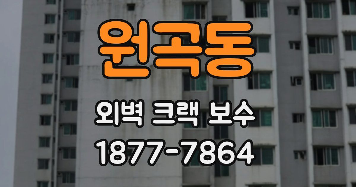 원곡동 외벽 크랙 보수