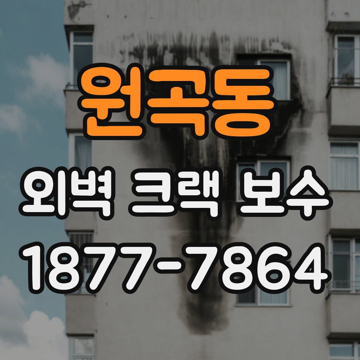 원곡동 외벽 크랙 보수