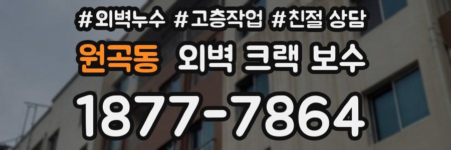 원곡동 외벽 크랙 보수