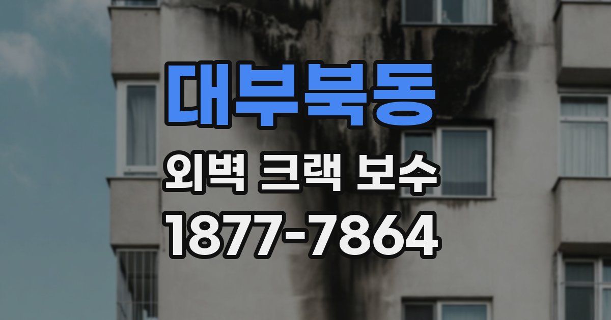대부북동 외벽 크랙 보수