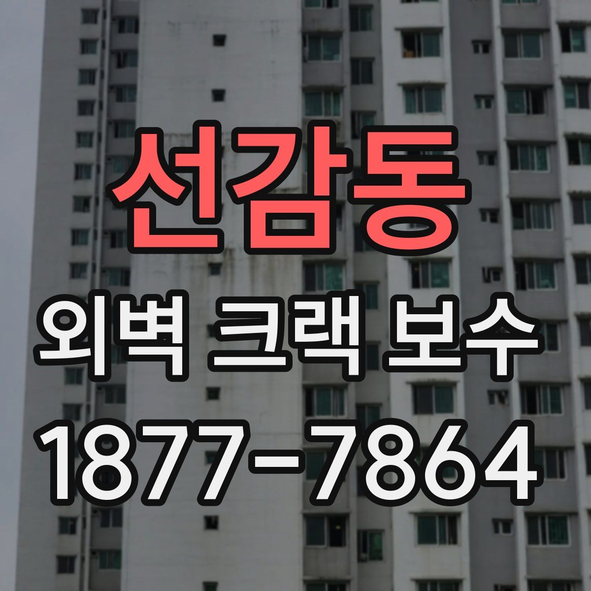 선감동 외벽 크랙 보수