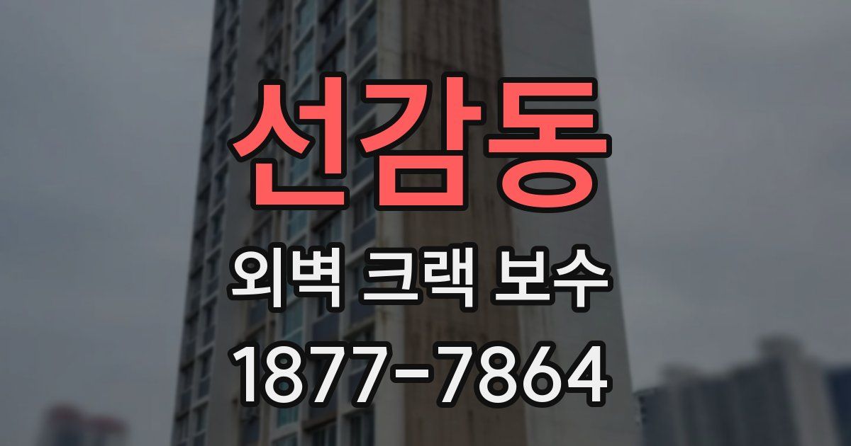선감동 외벽 크랙 보수