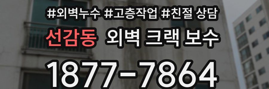 선감동 외벽 크랙 보수
