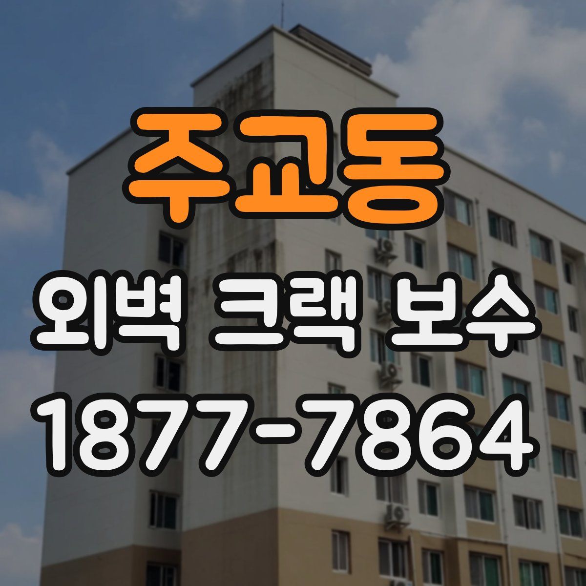 주교동 외벽 크랙 보수