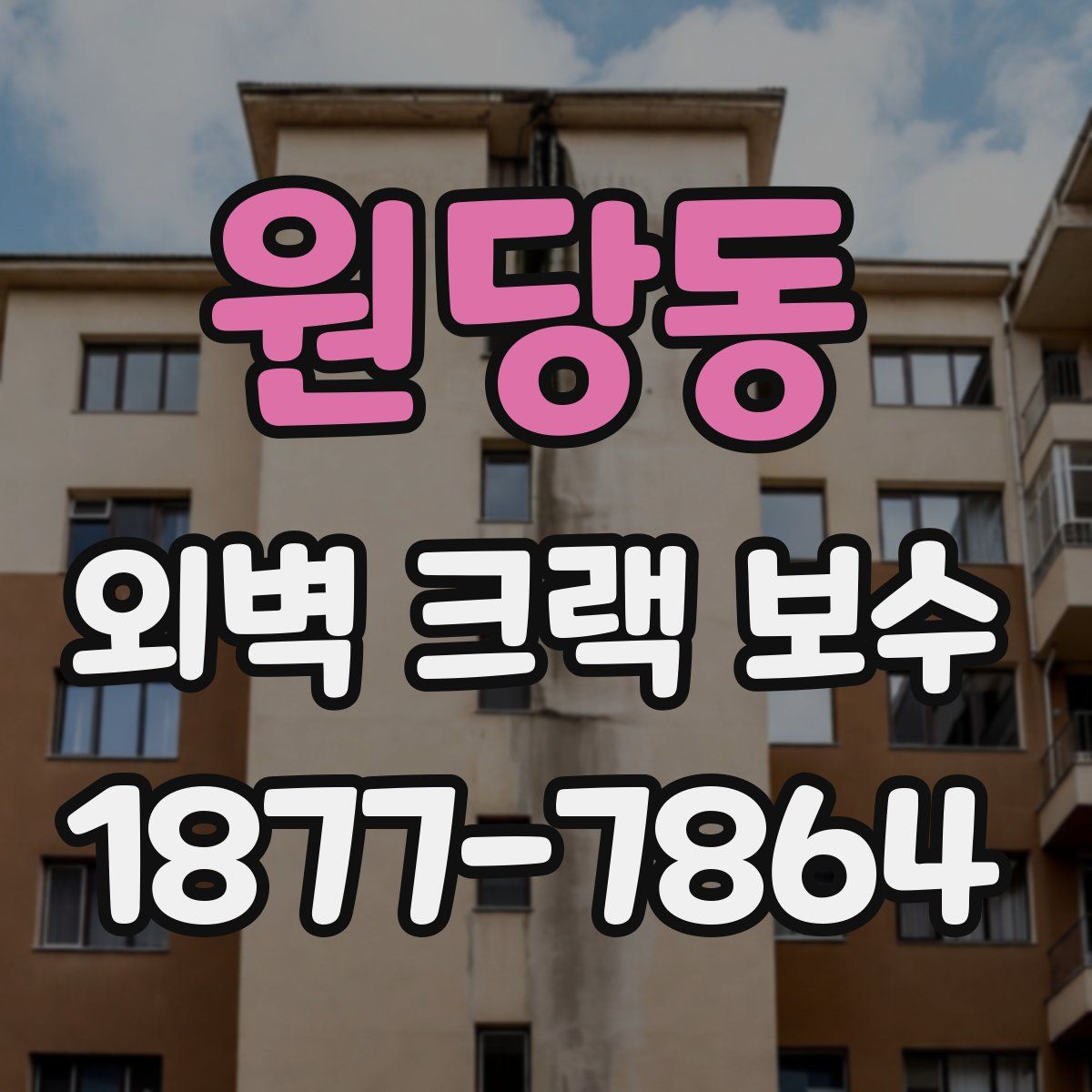 원당동 외벽 크랙 보수