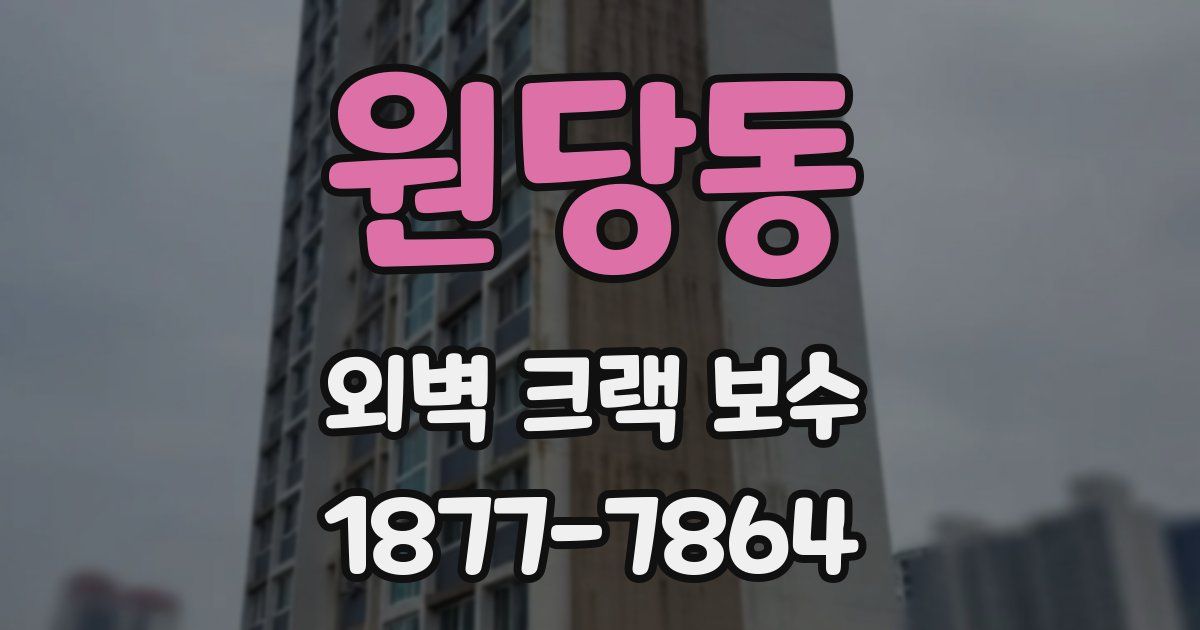 원당동 외벽 크랙 보수