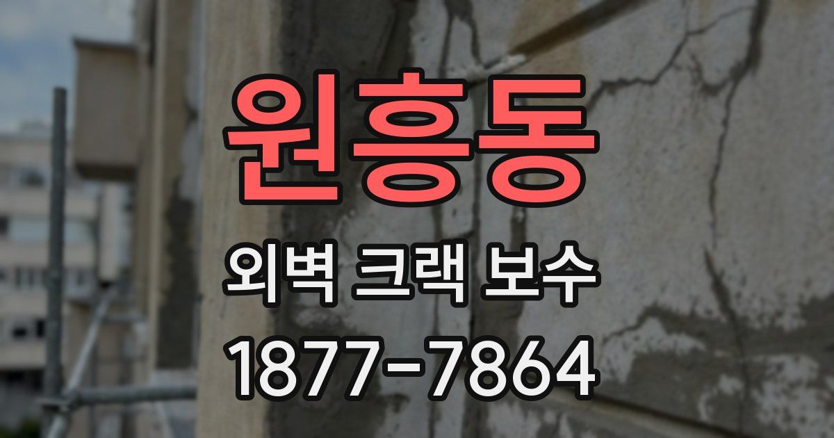 원흥동 외벽 크랙 보수