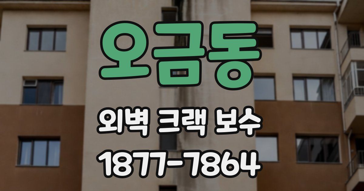 오금동 외벽 크랙 보수