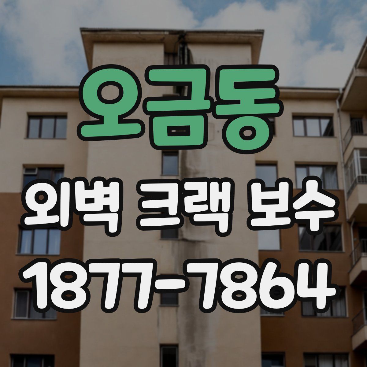 오금동 외벽 크랙 보수