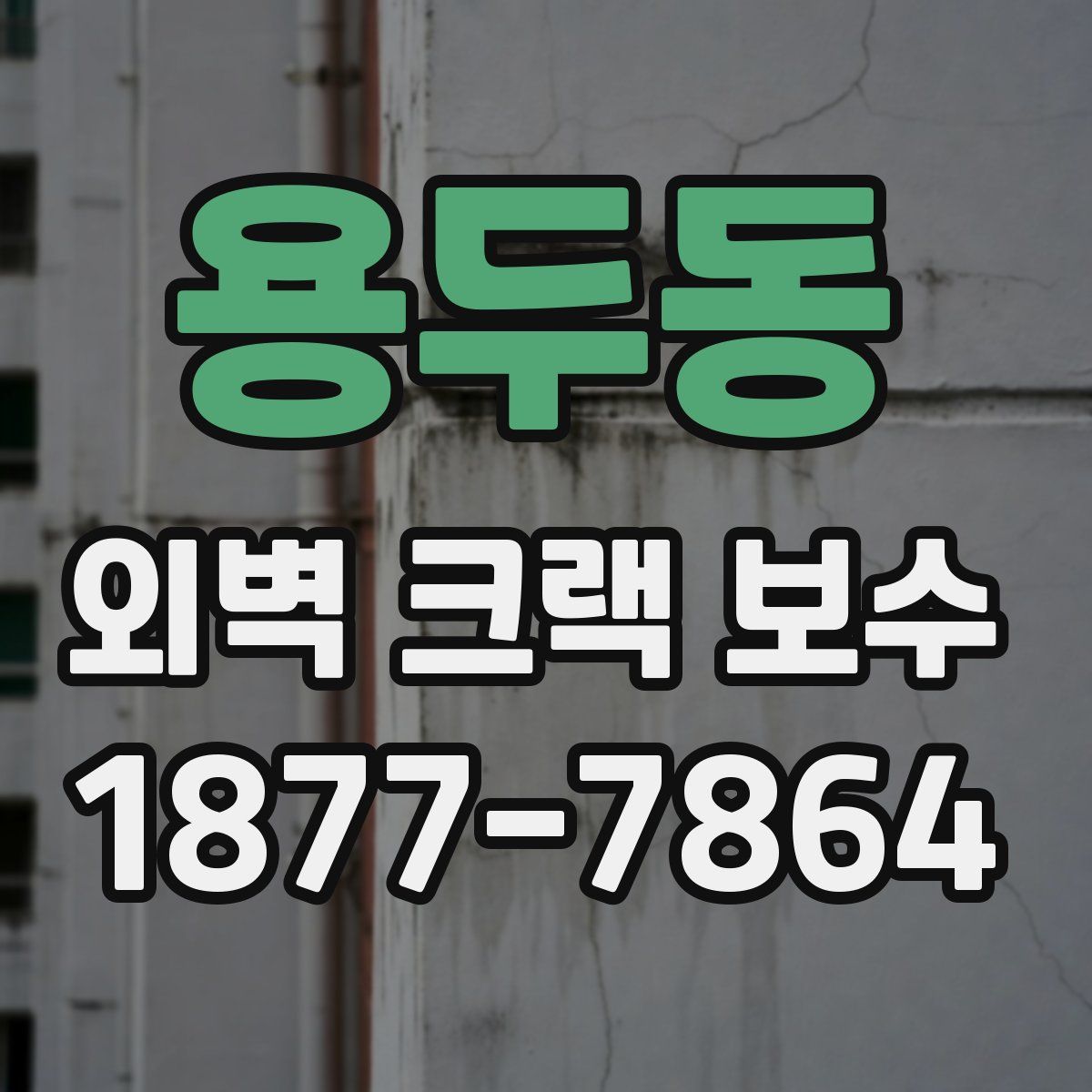 용두동 외벽 크랙 보수