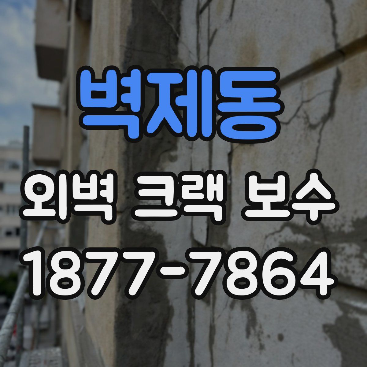 벽제동 외벽 크랙 보수