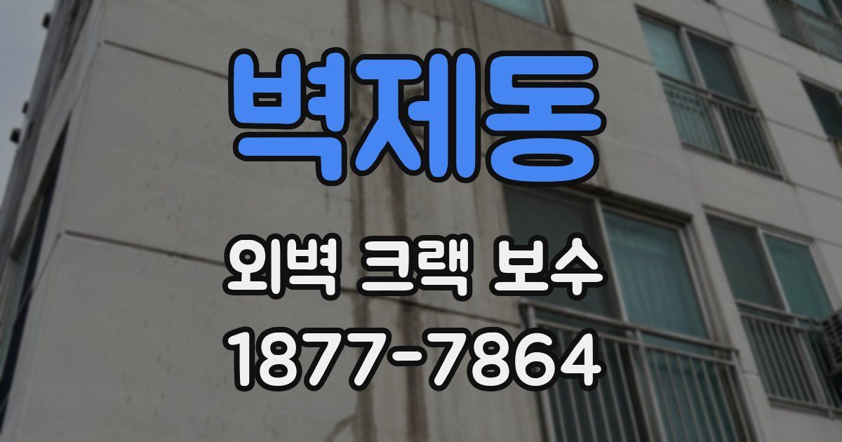 벽제동 외벽 크랙 보수