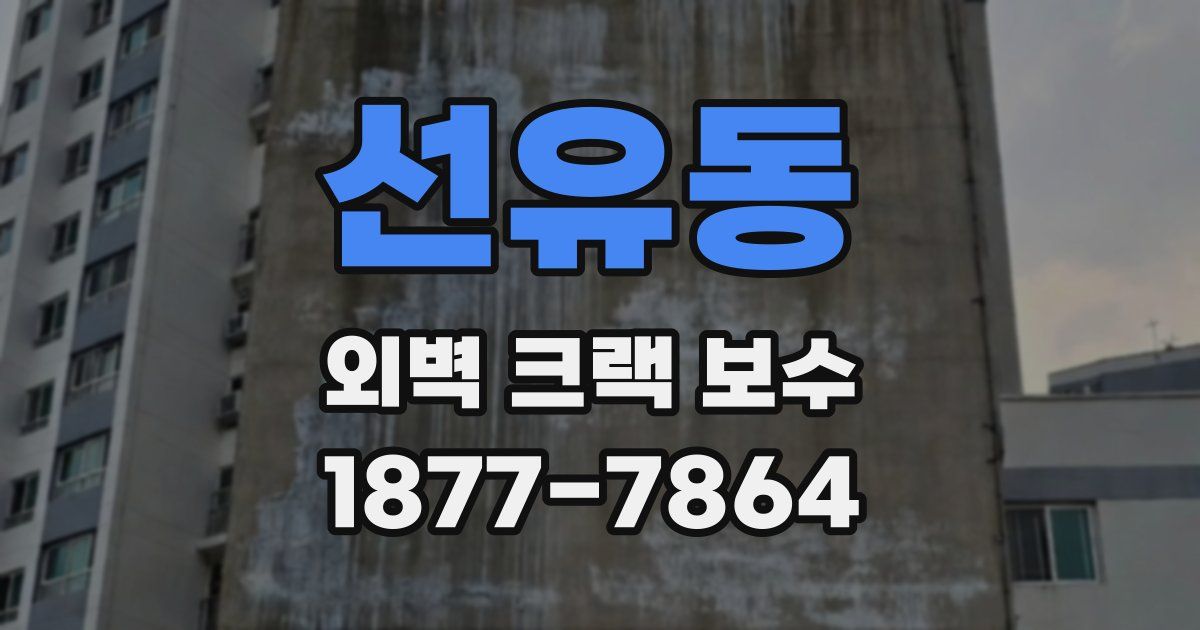 선유동 외벽 크랙 보수
