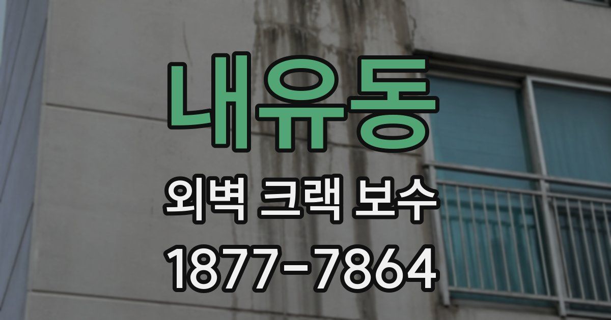 내유동 외벽 크랙 보수
