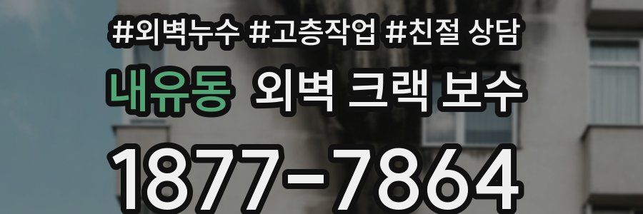 내유동 외벽 크랙 보수