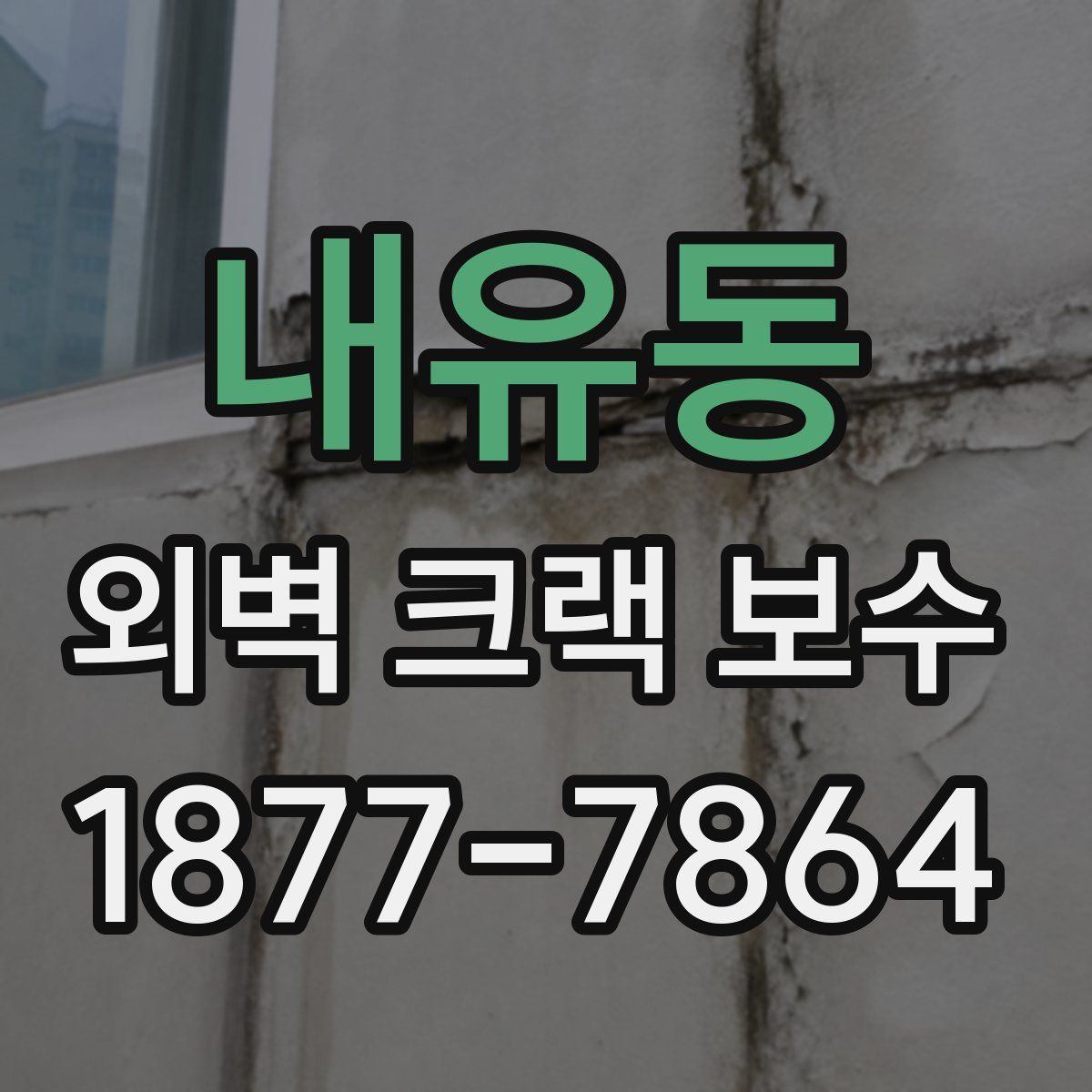 내유동 외벽 크랙 보수