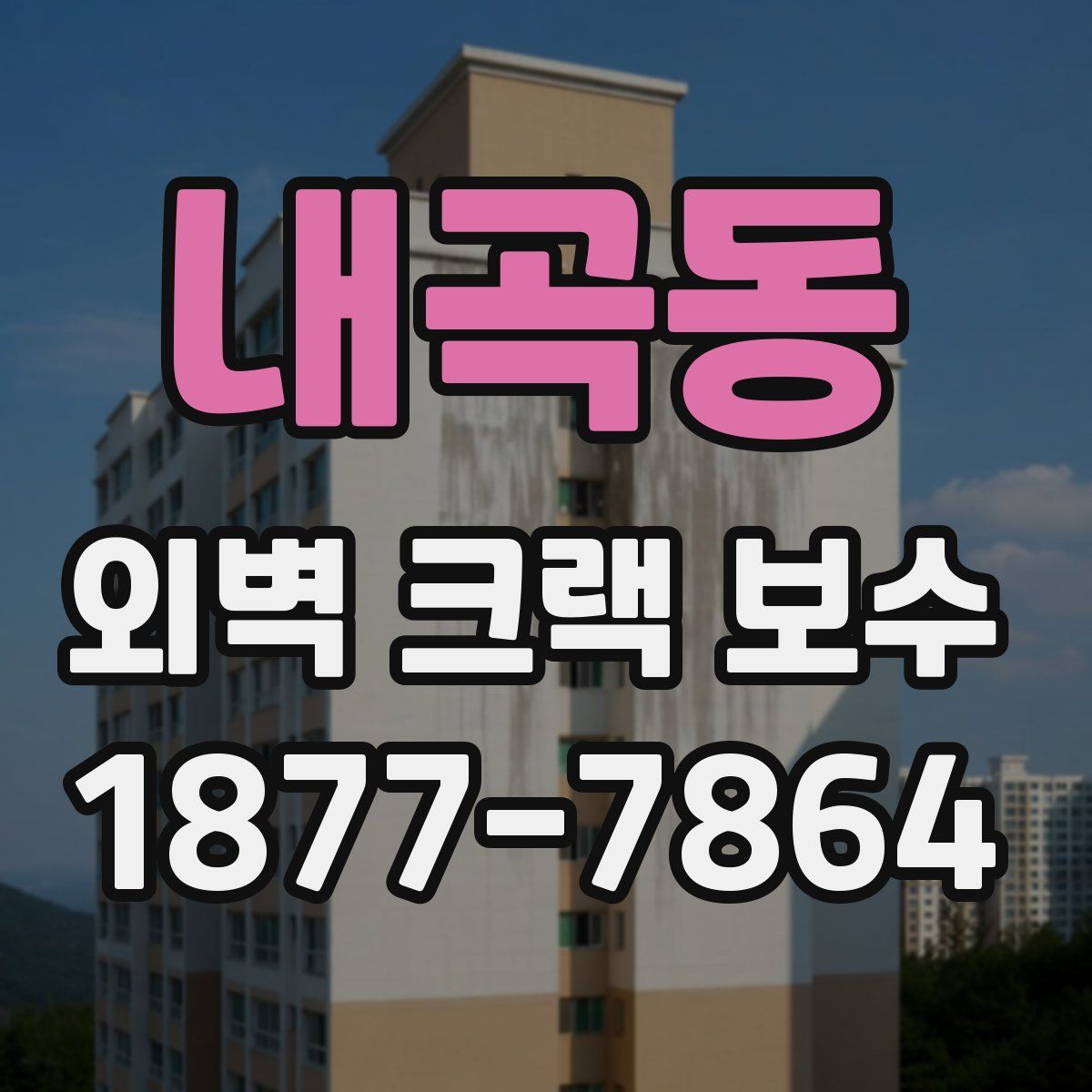 내곡동 외벽 크랙 보수
