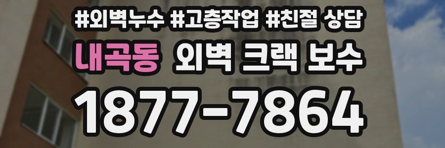 내곡동 외벽 크랙 보수