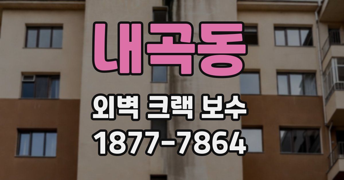 내곡동 외벽 크랙 보수