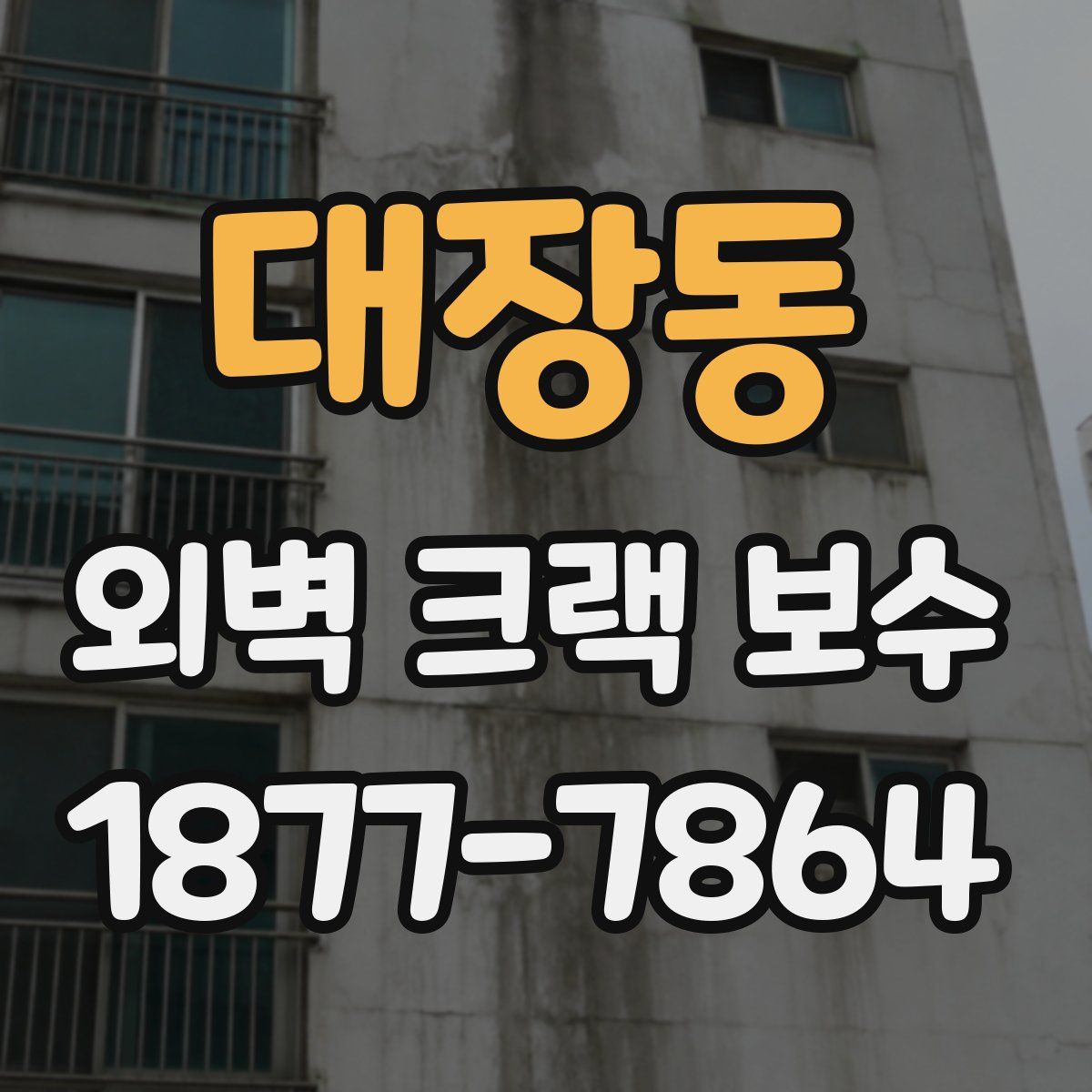 대장동 외벽 크랙 보수