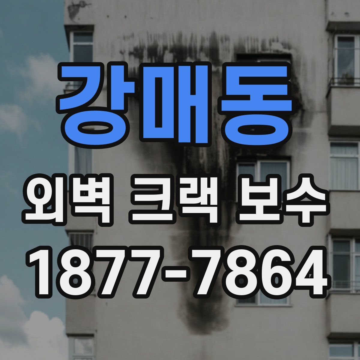 강매동 외벽 크랙 보수