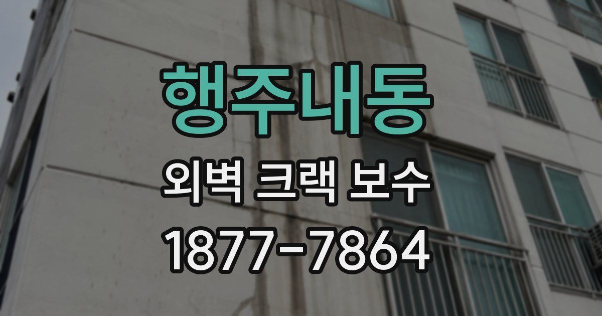행주내동 외벽 크랙 보수