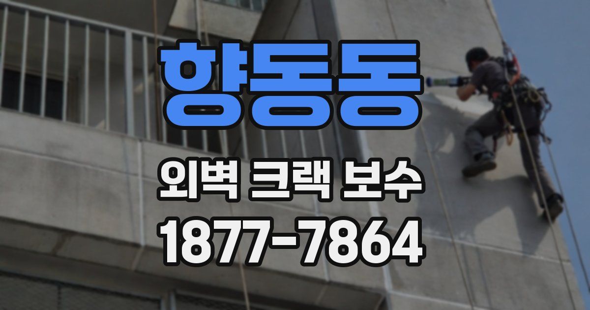 향동동 외벽 크랙 보수