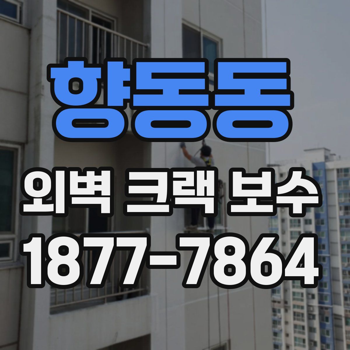 향동동 외벽 크랙 보수