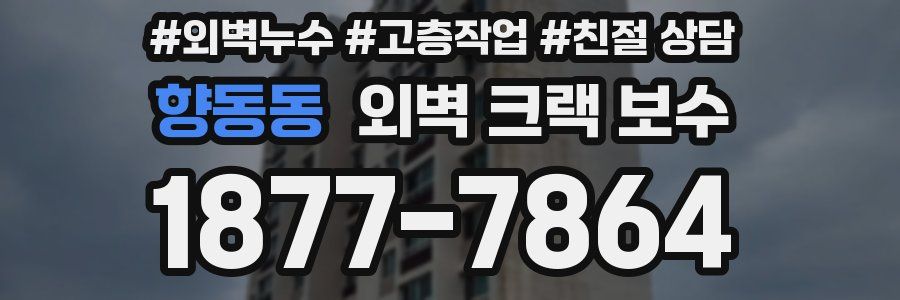 향동동 외벽 크랙 보수