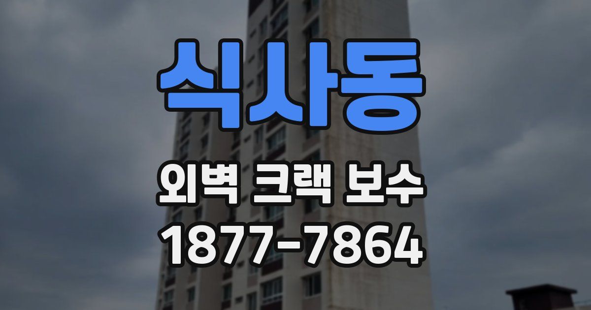 식사동 외벽 크랙 보수