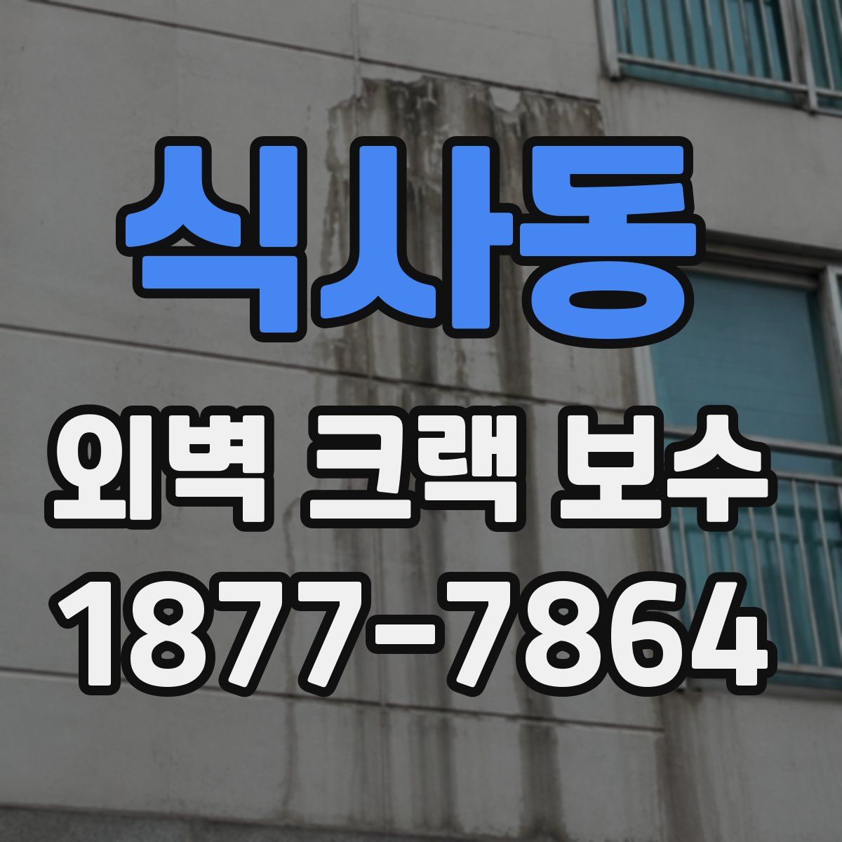식사동 외벽 크랙 보수